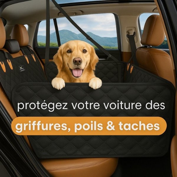 Housse de voiture chien imperméable avec protection pour voiture pour chien et housse chien pour voiture