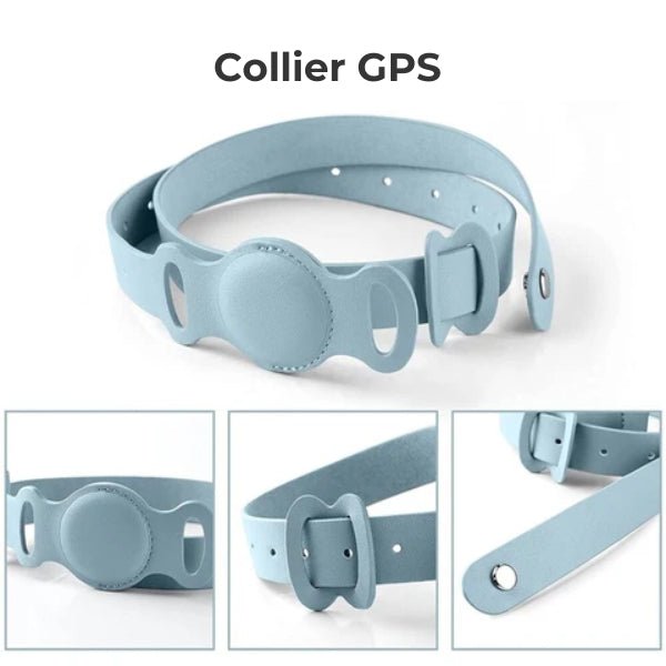 Collier GPS pour chat Tag – Accessoire IRL élégant et pratique pour le suivi du bien-être de votre animal