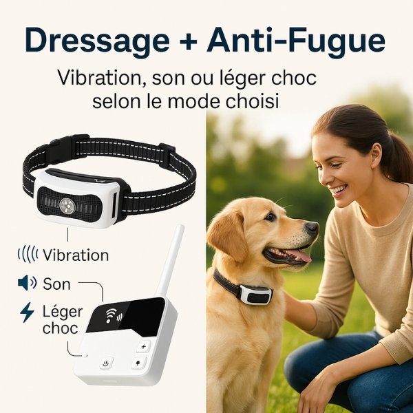 Collier chien anti fugue sans fil – Clôture pour chien électrique sans fil avec collier chien clôture intégré