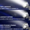 Lampe torche puissante LED rechargeable avec longue portée et lampes torches puissantes portatives