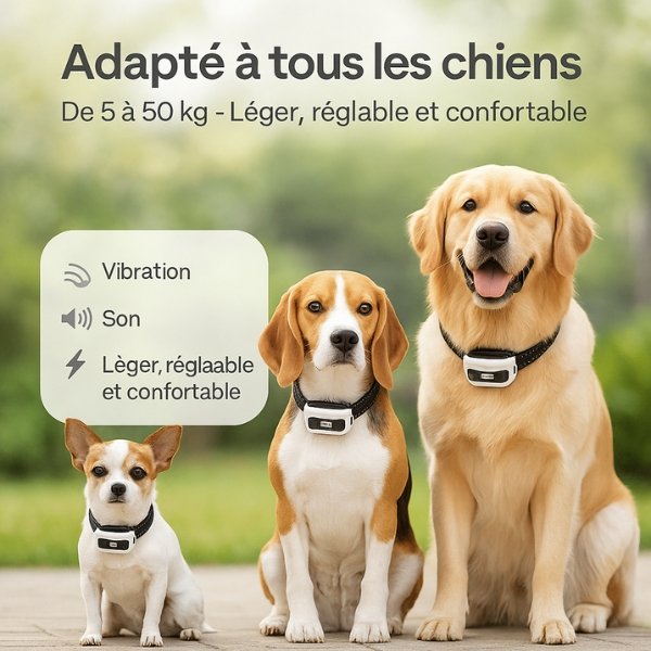 Collier chien anti fugue sans fil – Clôture pour chien électrique sans fil avec collier chien clôture intégré