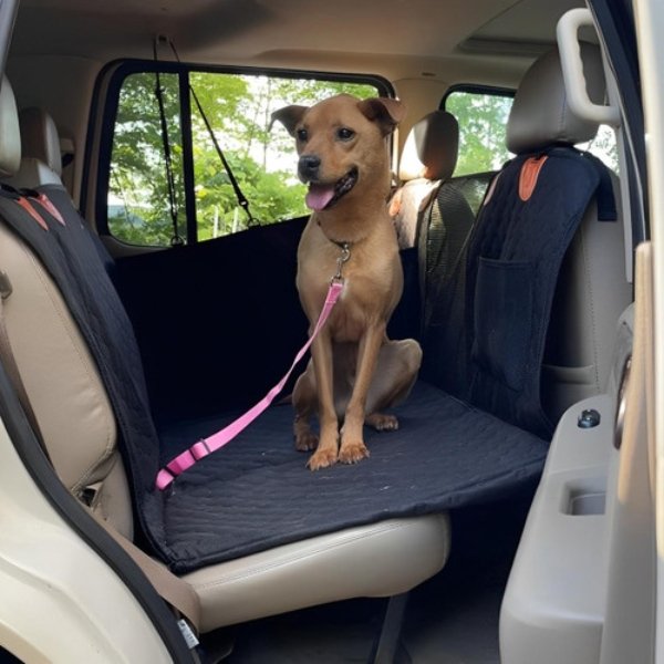 Housse de voiture chien imperméable avec protection pour voiture pour chien et housse chien pour voiture