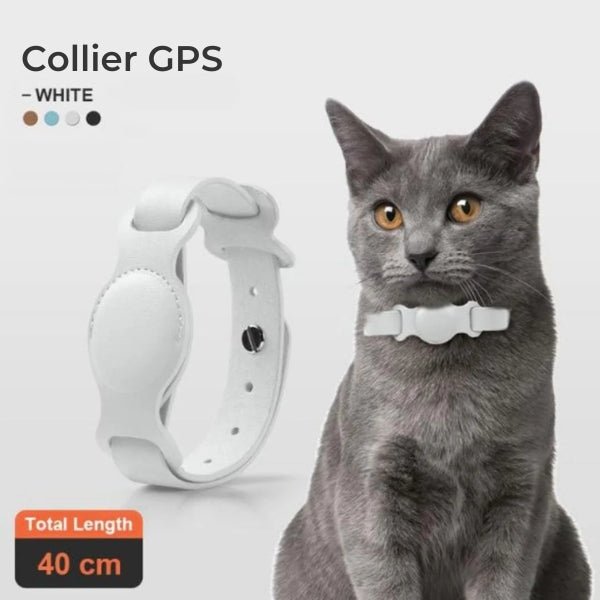 Collier GPS pour chat Tag – Accessoire IRL élégant et pratique pour le suivi du bien-être de votre animal