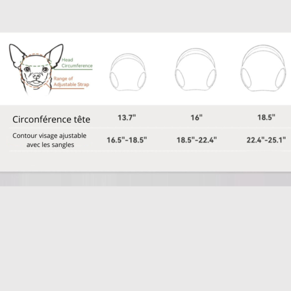 Casque moto pour chien avec lunette, casque chien moto pour sécurité et style