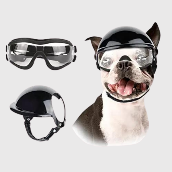 Casque moto pour chien avec lunette, casque chien moto pour sécurité et style