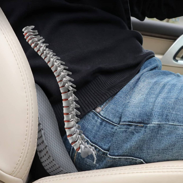 Coussin rehausseur voiture confortable – Réhausseur adulte pour voiture et rehausseur conducteur ergonomique