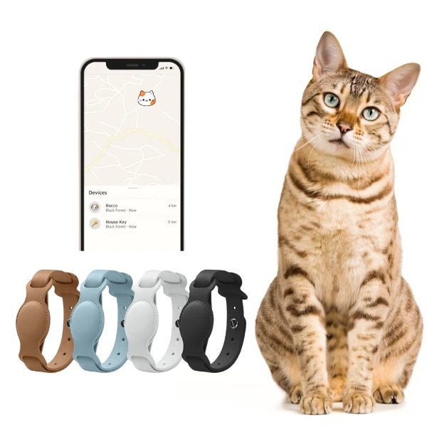 Collier GPS pour chat Tag – Accessoire IRL élégant et pratique pour le suivi du bien-être de votre animal