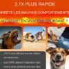 Ultrason pour chien, dispositif anti-aboiements portable, répulsif efficace pour l’entraînement, contrôleur de comportements canins