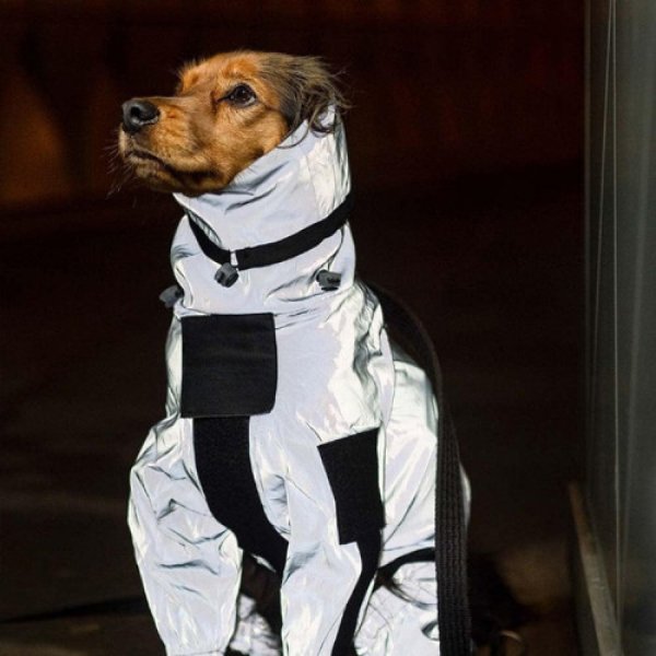 Combinaison Neige Imperméable Pour Chien – Manteau de Pluie Résistant, Idéal Gros Chiens