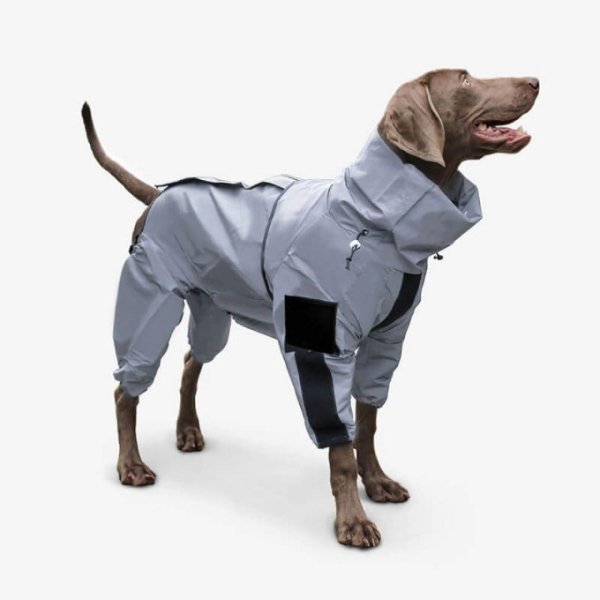 Combinaison Neige Imperméable Pour Chien – Manteau de Pluie Résistant, Idéal Gros Chiens