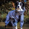 Combinaison Neige Imperméable Pour Chien – Manteau de Pluie Résistant, Idéal Gros Chiens