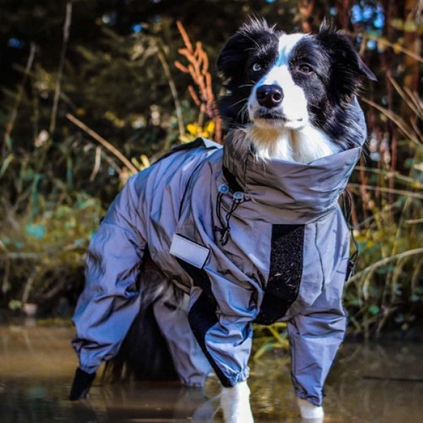 Combinaison Neige Imperméable Pour Chien – Manteau de Pluie Résistant, Idéal Gros Chiens