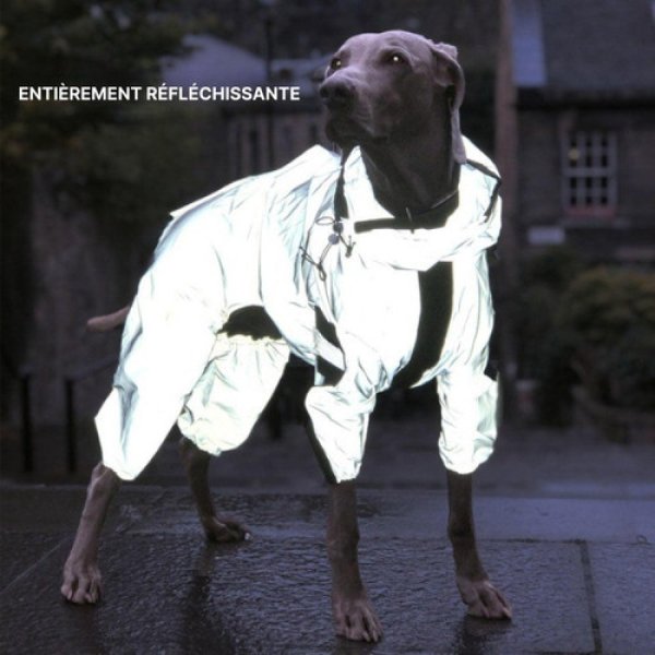 Combinaison Neige Imperméable Pour Chien – Manteau de Pluie Résistant, Idéal Gros Chiens