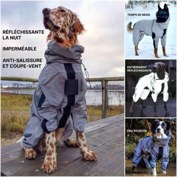 Combinaison Neige Imperméable Pour Chien – Manteau de Pluie Résistant, Idéal Gros Chiens