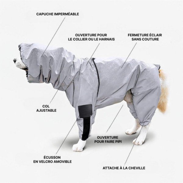 Combinaison Neige Imperméable Pour Chien – Manteau de Pluie Résistant, Idéal Gros Chiens