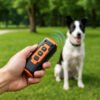Appareil anti-aboiement pour chien à ultrasons – sifflet ultrason efficace pour dressage canin