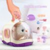 Chat Jouet Interactif en Peluche, Chat Parlant Jouet Réaliste qui Miaule pour Enfants