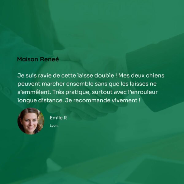 Laisse double pour chien anti-enroulement, pratique pour 2 chiens avec enrouleur longue distance