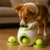 assets_task_01jwe9hcsgematcc5rt6jakakc_1748531523_img_1.webp Jouet interactif pour chiens avec balle, puzzle stimulant et jeux intelligents pour chien actif