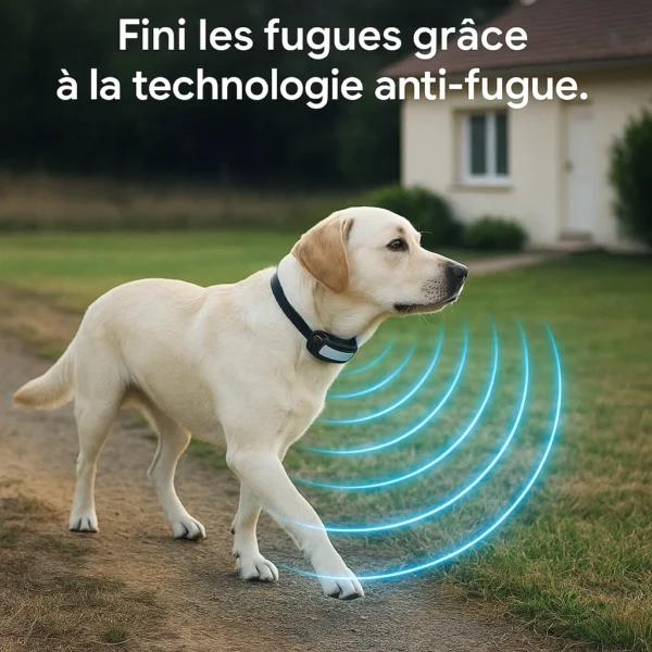 assets_task_01jxg8ddgheq5rasbgd6ap2hm5_1749671212_img_0.webp Clôture pour chien électrique sans fil – Collier anti fugue et clôture électronique sécurisée pour animaux