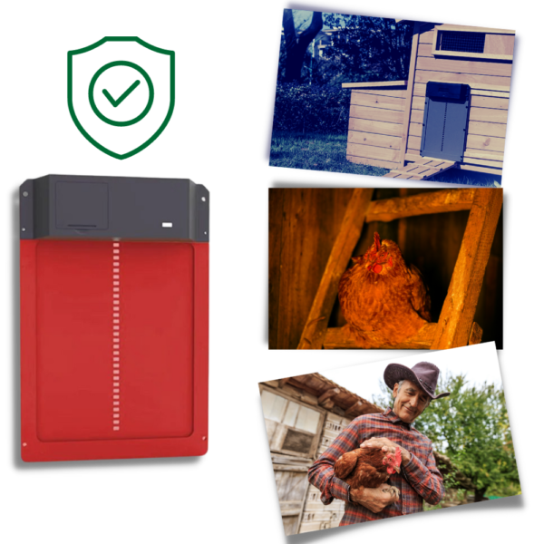 Porte Automatique pour Poulailler en Aluminium avec Détection de Lumière – Idéale pour Élevage de Poules et Protection Contre les Prédateurs