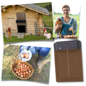 Porte Automatique pour Poulailler en Aluminium avec Détection de Lumière – Idéale pour Élevage de Poules et Protection Contre les Prédateurs