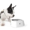 1614651331666-1.jpg Gamelle à eau Anti Débordement pour chiens et chats 1.5l