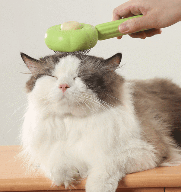 3a312a10-0ec3-4dff-af0c-a8e62bd65c9b.png Brosse pour animaux auto nettoyante