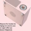 Enceinte Bluetooth Tourne-disque Vintage
