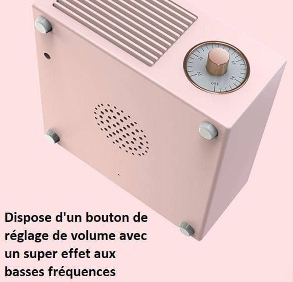 Enceinte Bluetooth Tourne-disque Vintage