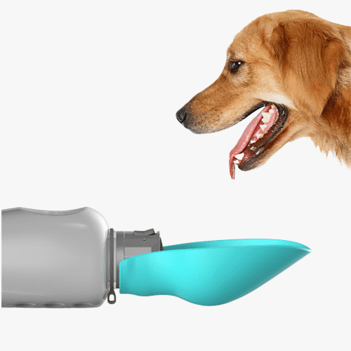 Gourde de voyage pour chiens avec bol anti fuites pliable grande capacité 800ml