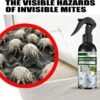 Spray anti punaises de lit et anti bactériens