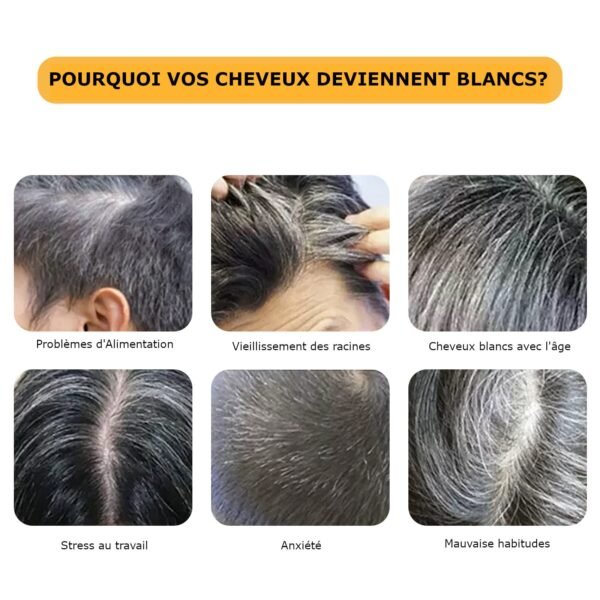 Soin Shampoing anti cheveux blancs
