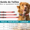 Collier de localisation lumineux pour chiens