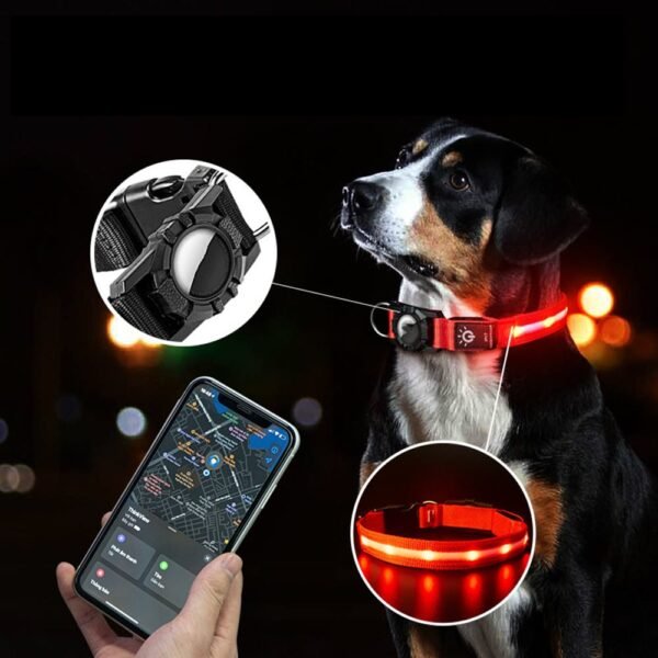 Collier de localisation lumineux pour chiens