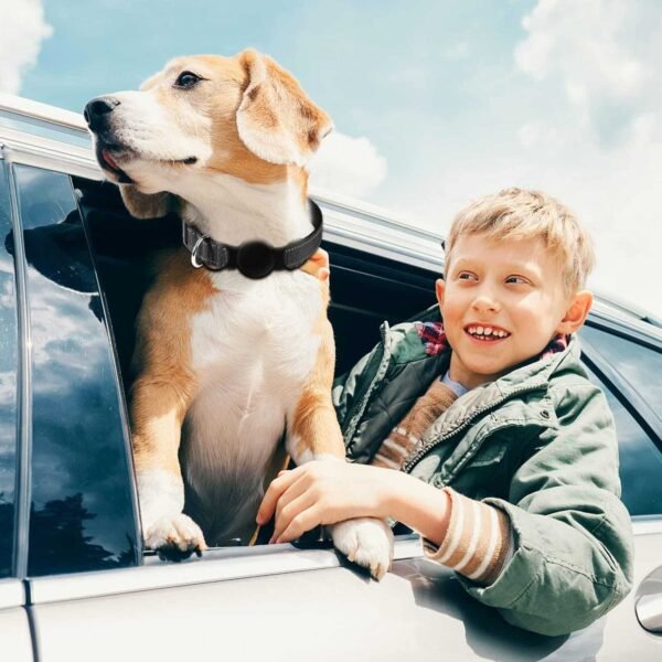 Collier de localisation lumineux pour chiens