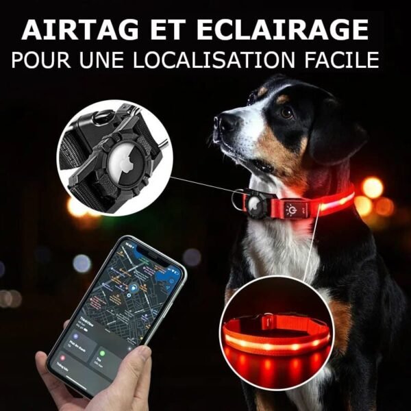 Collier de localisation lumineux pour chiens