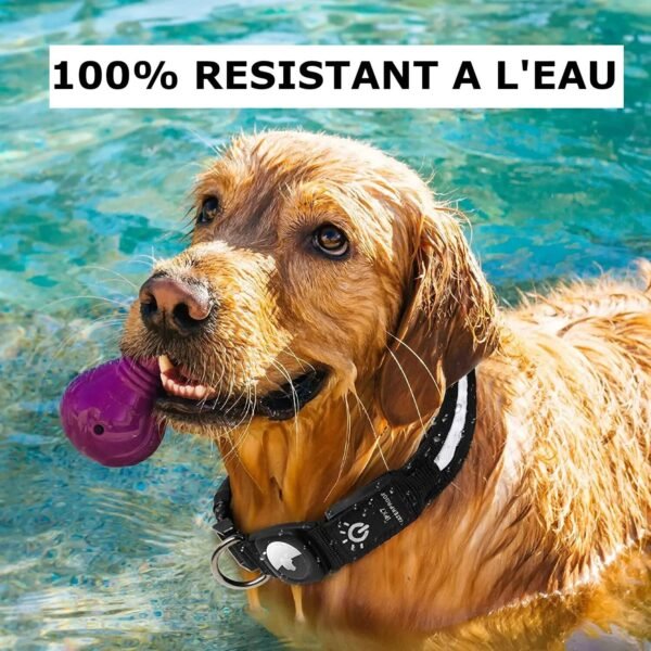 Collier de localisation lumineux pour chiens