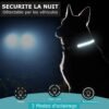 Collier de localisation lumineux pour chiens