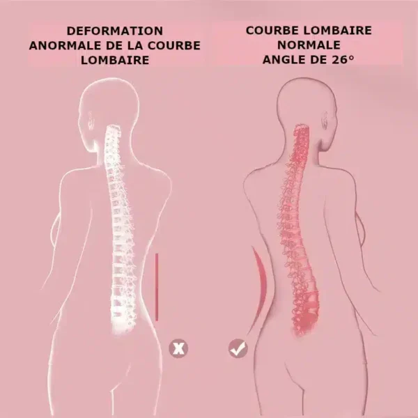 Coussin de Support Lombaire