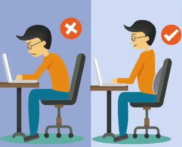 Coussin de Support Lombaire