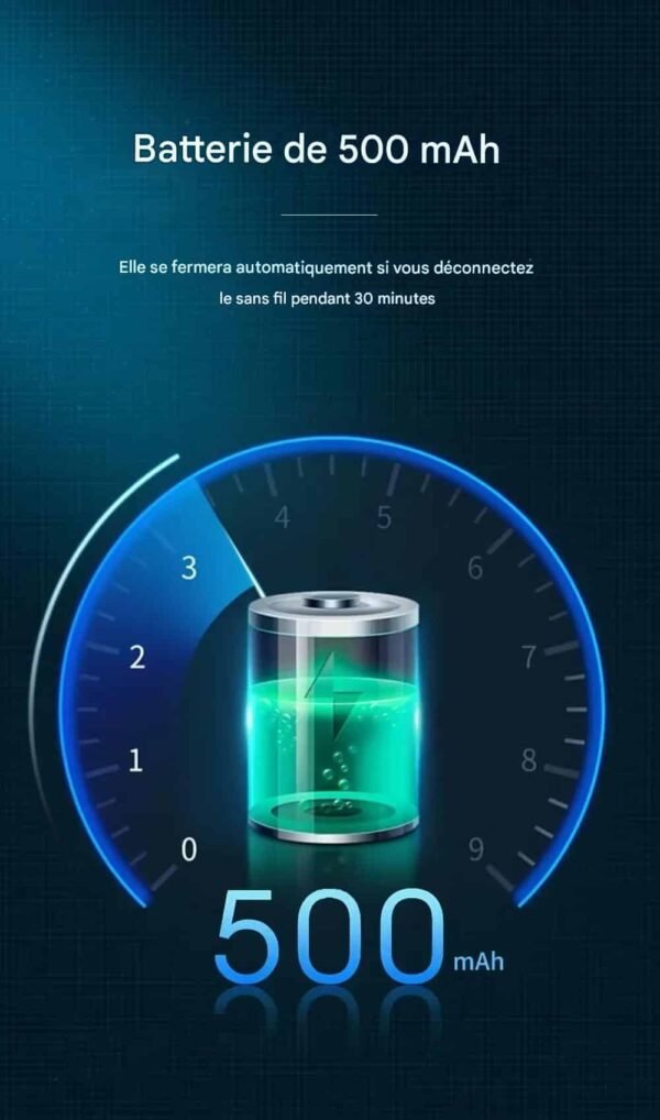 Enceinte Bluetooth Portable FM