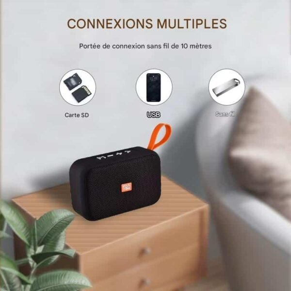 Enceinte Bluetooth Portable FM