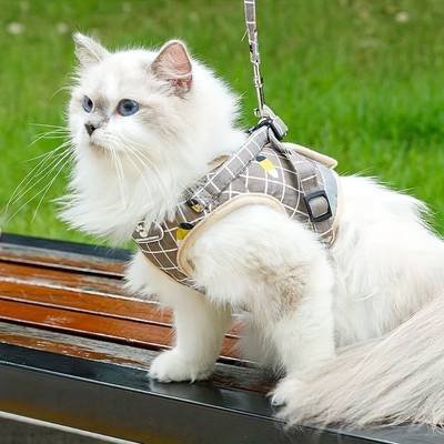 Harnais Chat Confortable avec Laisse