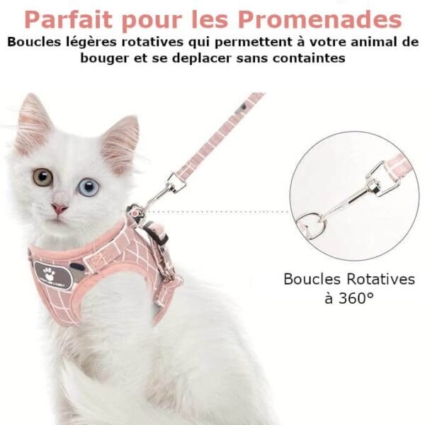 Harnais Chat Confortable avec Laisse