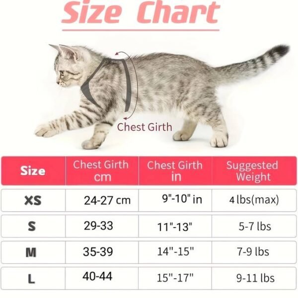 Harnais Chat Confortable avec Laisse