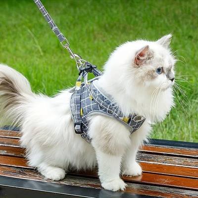 Harnais Chat Confortable avec Laisse