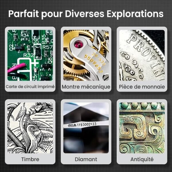 Loupe Numérique Microscope 100X avec Ecran IPS 2.8