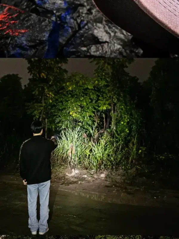 Lampe de Poche LED puissante étanche rechargeable