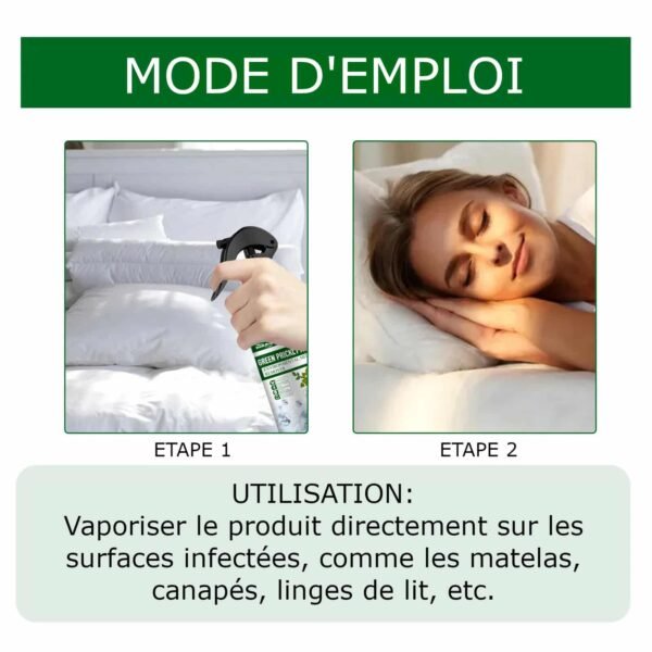 Spray anti punaises de lit et anti bactériens